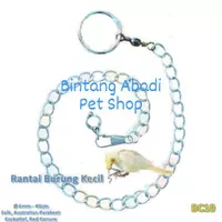 Rantai Burung Falk Cockatiel 6mm Ikat Kaki Ring Besi Training BC10