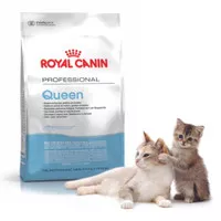 Best! royal canin queen 400gr makanan kucing hamil menyusui