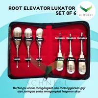 Root Elevator Luxator Bein(1 set isi 6 pcs) Dental Instrument -Schezer