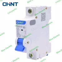 MCB Chint NXB-63 1P 2A 4A / MCB Chint NXB63 1 Phase 2 AMPERE 4 AMPERE