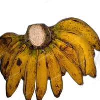 Pisang Raja Bulu