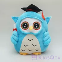 boneka wisuda burung hantu owl graduation biru muda DES