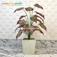 Tanaman Hias Daun Keladi Ungu X15 Semi Latex Artificial Pot Kayu Kotak