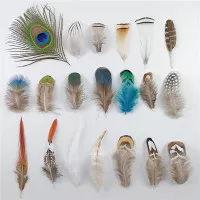 Pheasant Feathers - Bulu Unggas 4-8cm (10pcs)