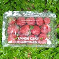 buah strawberry 1 pack