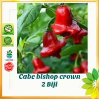 Benih cabe bishop crown