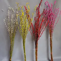 Pussy willow , bunga imlek , bunga sincia