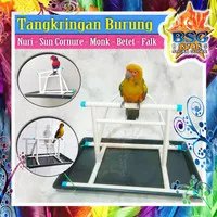 Tangkringan Burung Parrot Nuri Paltem Pelangi Sun Cornure Monk Falk