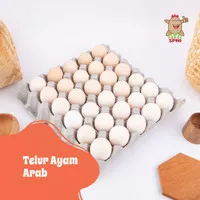 Telur Ayam Arab SPNI