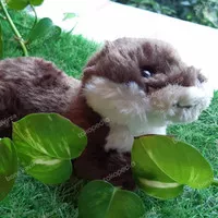Boneka Otter Sunlemon Berang-Berang