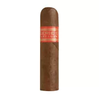 Partagas Serie D no. 6 -Cigar / Cerutu
