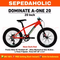 Sepeda Gunung MTB DOMINATE A ONE 20 Alloy 9 Speed Rem Cakram 20 Inch