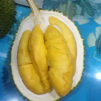 Durian Monthong
