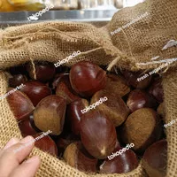 chestnut fresh