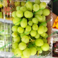 anggur minindee Australia Seedlees | 1 kg