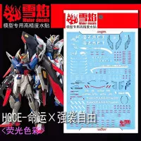 HG DESTINY GUNDAM/STRIKE FREEDOM GUNDAM WATER DECAL FLAMING SNOW DECAL