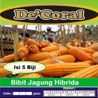 Bibit Jagung Hibrida De'coral Berkualitas Kemasan Perbungkus