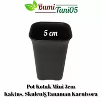 Pot Kotak Mini Pot Kaktus Secculent 5cm