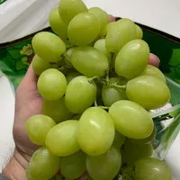 anggur hijau seedless Australia per 1kg