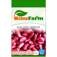 Benih Kacang Merah 13Seeds