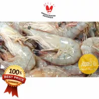 Udang Vaname Utuh Segar Beku Frozen / Udang Fanami (Shrimp) @500gr