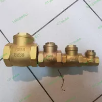 klep tabok kuningan / swing check valve kuningan PN 16 uk 2.5 inch