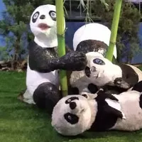 boneka panda jumbo besar
