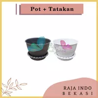 Pot Bunga Tanaman Tawon hitam putih 12cm 12 cm + tatakan alas mawar