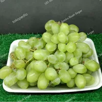 buah anggur hijau tanpa biji fresh (1kg)