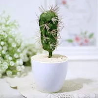 pajangan kaktus cactus artificial + pot plastik shabby chic 10