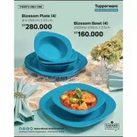 Tupperware paket plate + bowl 8pcs tempat makan set