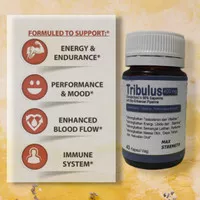 Tribulus Terestris ekstrak 90% Saponin