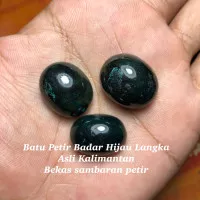 Batu Petir Badar Hijau Langka dari Kalimantan