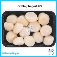 Scallop US / Kerang Kampak / Kerang Simping Jumbo / Scalop USA Premium