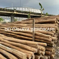 Kayu Dolken Gelam 8 10 cm Super Kupas Kulit Jakarta