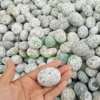 Batu Hias Taman Telur Puyuh 1Kg