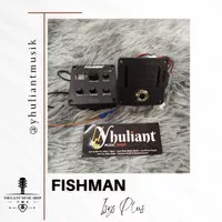 Preamp Fishman Isys plus Mini