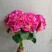 Bunga Hortensia Pink / Hydrangea / Bunga Potong Segar