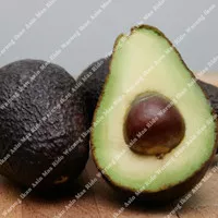 Alpukat Hass Avocado Haas Buah Segar