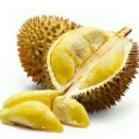 BUAH DURIAN MONTONG LOKAL PREMIUM 1 KG FRSH