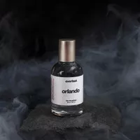 Orlando Inspired by One Million Lucky | Everlast Parfum For Men 35ml