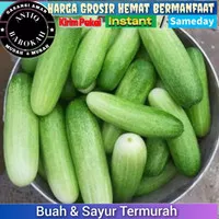 Timun ketimun lokal muda hijau segar fresh sayur murah hemat 500gr