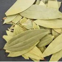 daun salam india 1kg / bay leaf import / tej pata / salam arab /baylif