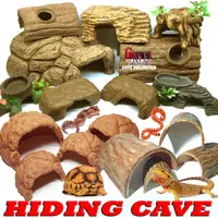 HIDING CAVE PLACE GOA TEMPAT SEMBUNYI REPTILE GECKO TORTOISE KADAL BD