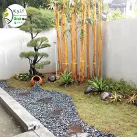 pembuatan taman rumah / taman Jepang / taman indoor / taman outdoor