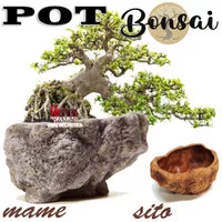 POT POHON BONSAI MAME SITO RELIEF POT TANAMAN SANCANG KIMENG AZALEA