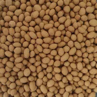 Kacang Atom / Kacang Oven 250g