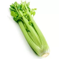Sayur Segar Batang Seledri Stik Celery Stick IMPOR 1 kg