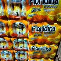 Floridina orange 1 dus 350ml isi 12 botol / minuman jus jeruk