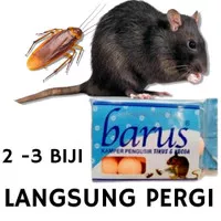 Kamper Barus Kapur Barus Pengusir Tikus Anti Serangga Kecoa Di Mobil